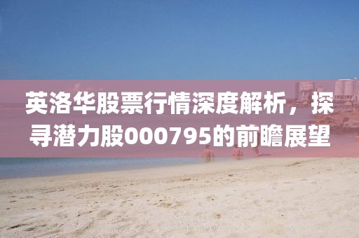 英洛华股票行情深度解析，探寻潜力股000795的前瞻展望