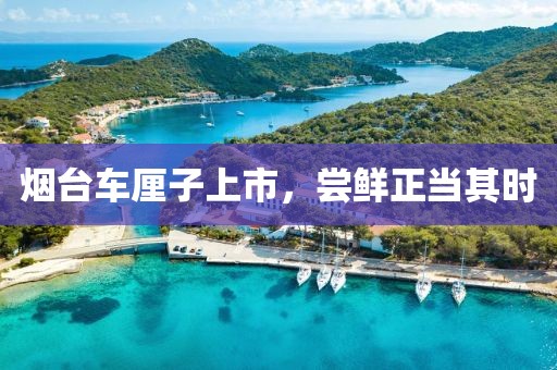 烟台车厘子上市，尝鲜正当其时
