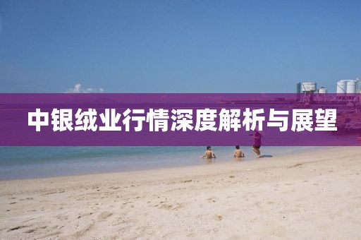 中银绒业行情深度解析与展望