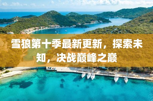雪狼第十季最新更新，探索未知，决战巅峰之巅