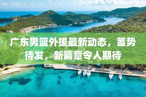 广东男篮外援最新动态，蓄势待发，新篇章令人期待