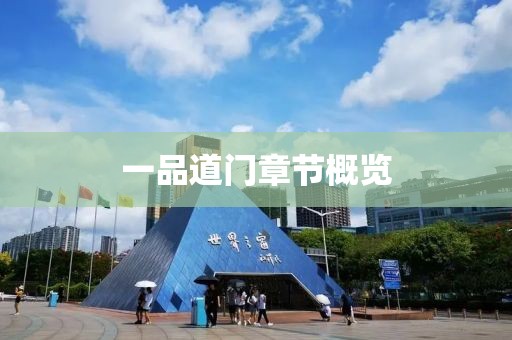 一品道门章节概览