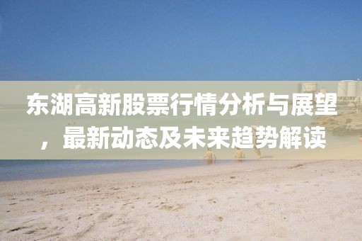 东湖高新股票行情分析与展望，最新动态及未来趋势解读