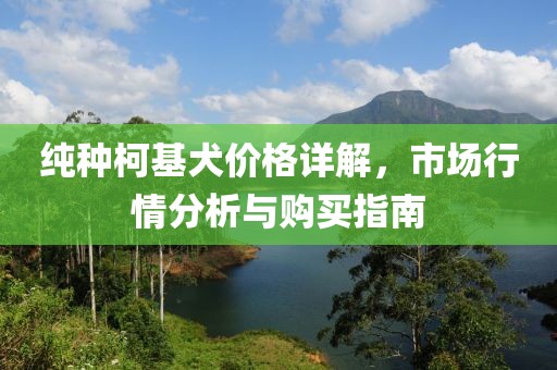 纯种柯基犬价格详解，市场行情分析与购买指南