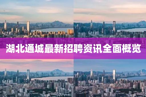 湖北通城最新招聘资讯全面概览
