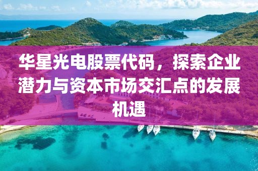 华星光电股票代码，探索企业潜力与资本市场交汇点的发展机遇