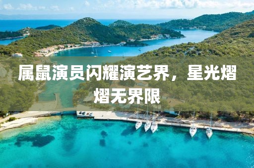 属鼠演员闪耀演艺界，星光熠熠无界限