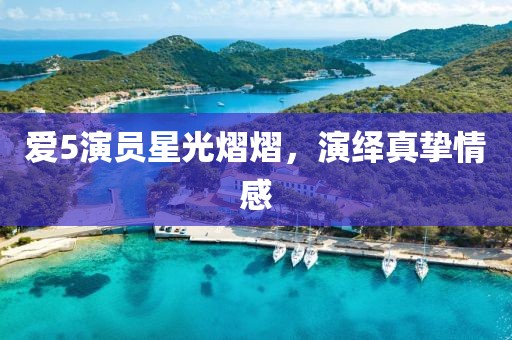 爱5演员星光熠熠，演绎真挚情感