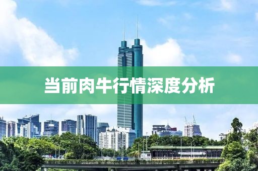 以南的地方 第24页