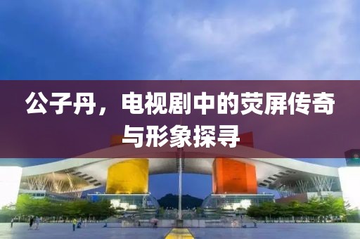 公子丹，电视剧中的荧屏传奇与形象探寻