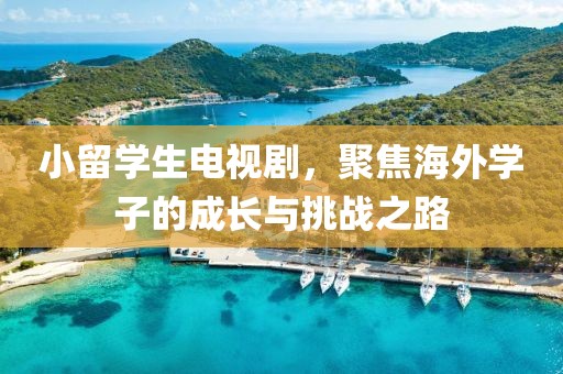 小留学生电视剧，聚焦海外学子的成长与挑战之路