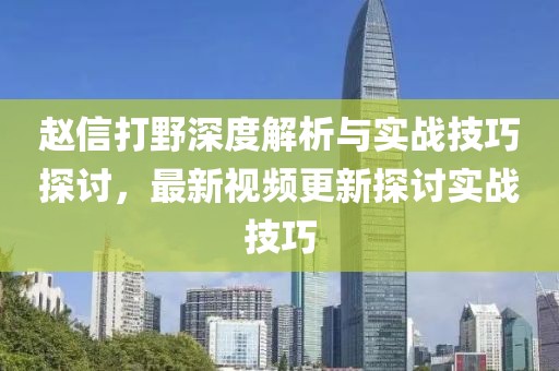 赵信打野深度解析与实战技巧探讨，最新视频更新探讨实战技巧