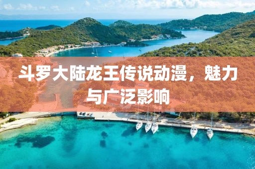 斗罗大陆龙王传说动漫，魅力与广泛影响