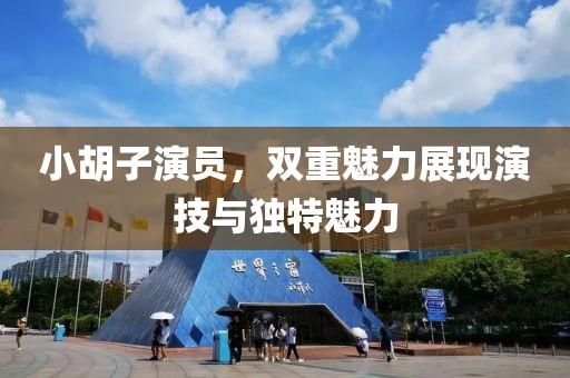 小胡子演员，双重魅力展现演技与独特魅力