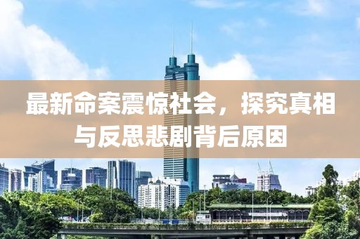 最新命案震惊社会，探究真相与反思悲剧背后原因