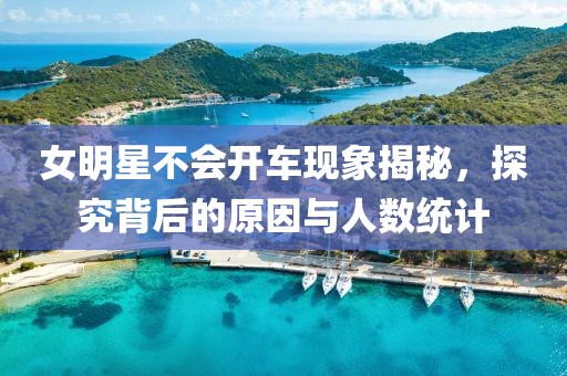 女明星不会开车现象揭秘，探究背后的原因与人数统计