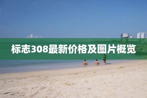 标志308最新价格及图片概览