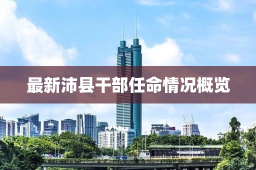 最新沛县干部任命情况概览