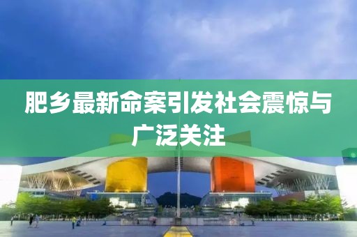 肥乡最新命案引发社会震惊与广泛关注