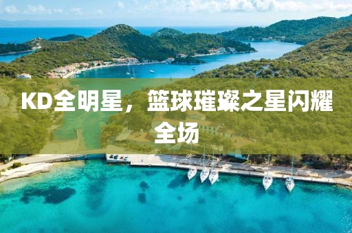 KD全明星，篮球璀璨之星闪耀全场