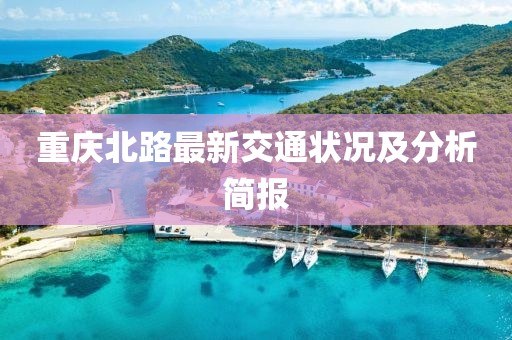 重庆北路最新交通状况及分析简报