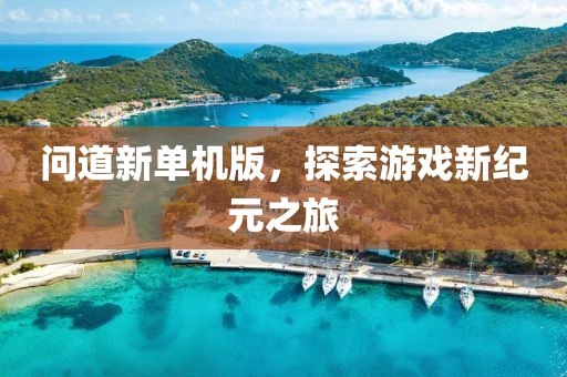 问道新单机版，探索游戏新纪元之旅