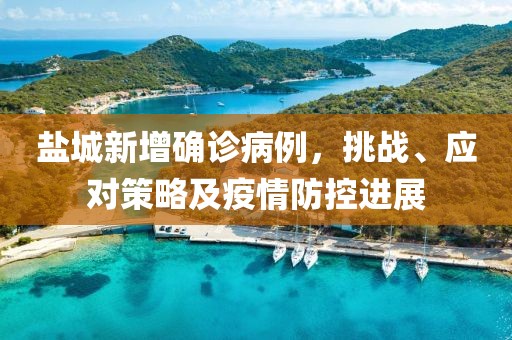 盐城新增确诊病例，挑战、应对策略及疫情防控进展