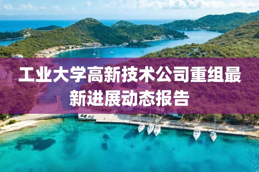 工业大学高新技术公司重组最新进展动态报告