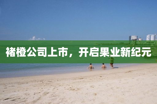 褚橙公司上市，开启果业新纪元
