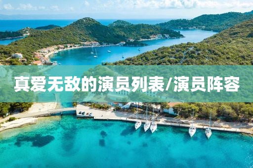 真爱无敌的演员列表/演员阵容