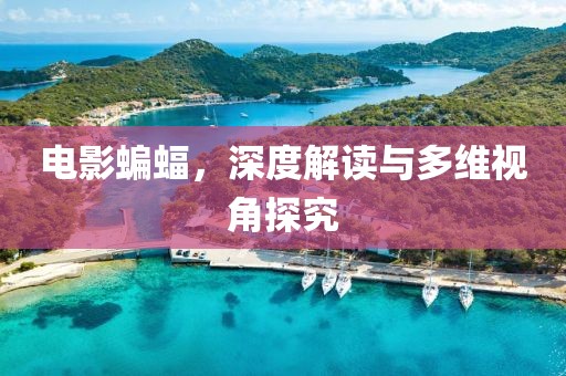 电影蝙蝠，深度解读与多维视角探究