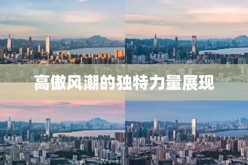 高傲风潮的独特力量展现