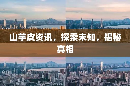 山芋皮资讯，探索未知，揭秘真相