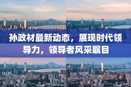 孙政材最新动态，展现时代领导力，领导者风采瞩目