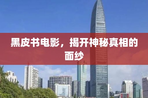 黑皮书电影，揭开神秘真相的面纱