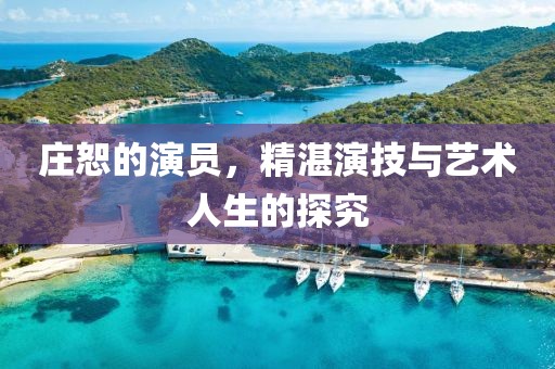 庄恕的演员，精湛演技与艺术人生的探究
