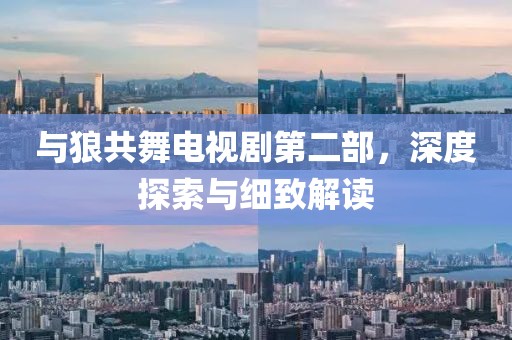 与狼共舞电视剧第二部，深度探索与细致解读
