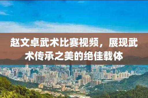 赵文卓武术比赛视频，展现武术传承之美的绝佳载体