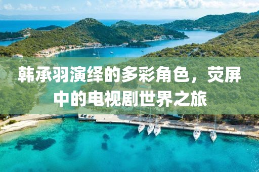 韩承羽演绎的多彩角色，荧屏中的电视剧世界之旅
