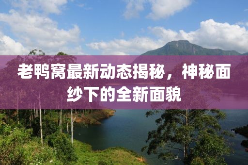 老鸭窝最新动态揭秘，神秘面纱下的全新面貌
