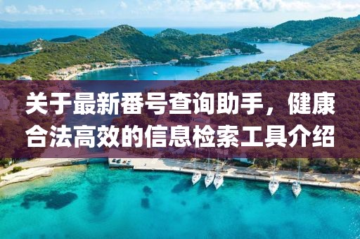 关于最新番号查询助手，健康合法高效的信息检索工具介绍