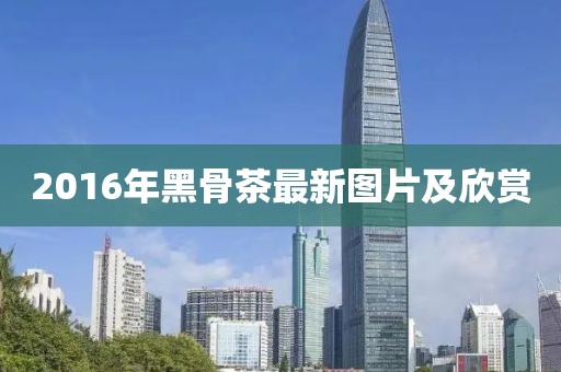 2016年黑骨茶最新图片及欣赏