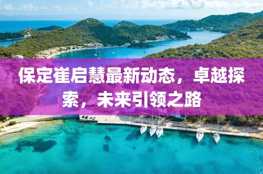 保定崔启慧最新动态，卓越探索，未来引领之路