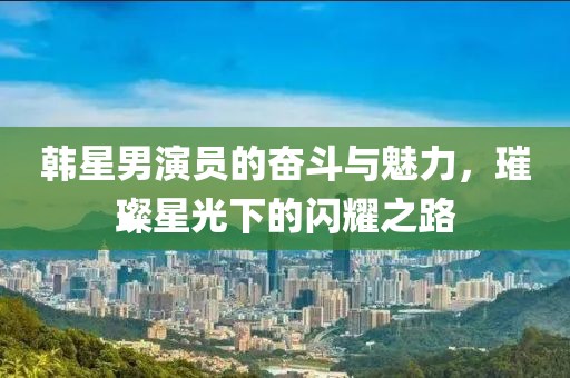 韩星男演员的奋斗与魅力，璀璨星光下的闪耀之路