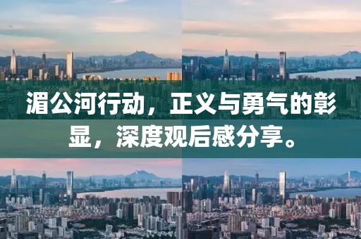 湄公河行动，正义与勇气的彰显，深度观后感分享。