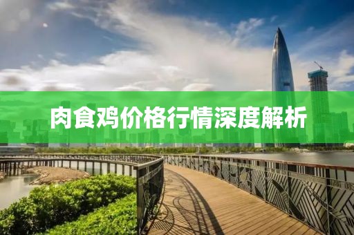 肉食鸡价格行情深度解析