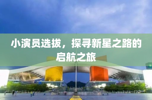 小演员选拔，探寻新星之路的启航之旅