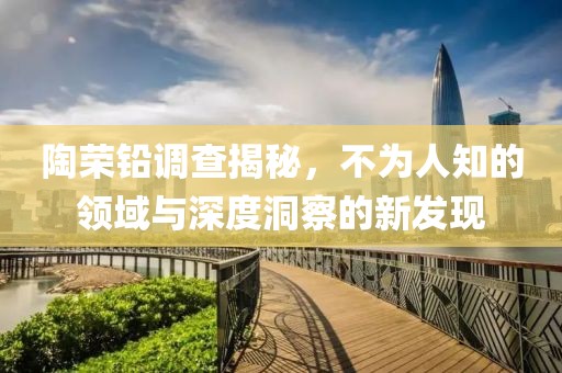 陶荣铅调查揭秘，不为人知的领域与深度洞察的新发现