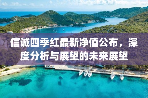 信诚四季红最新净值公布，深度分析与展望的未来展望