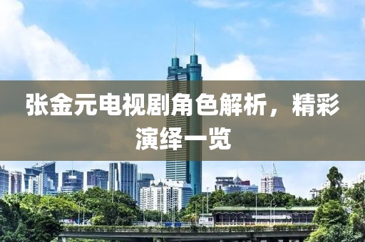 张金元电视剧角色解析，精彩演绎一览
